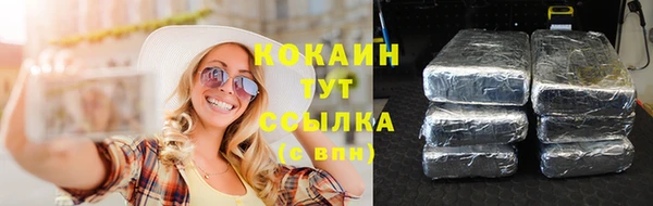 тгк Горно-Алтайск