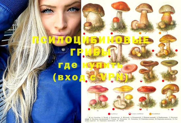 тгк Горно-Алтайск