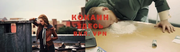 тгк Горно-Алтайск