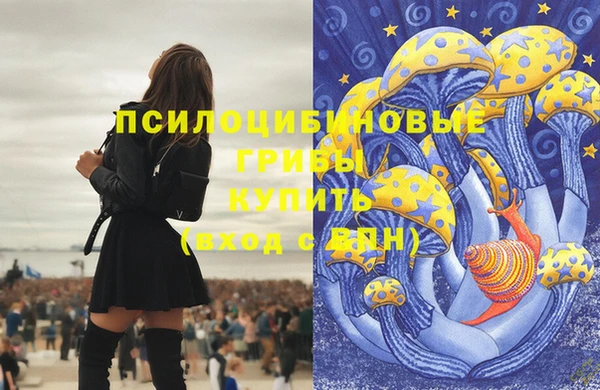 прущие крисы Горнозаводск