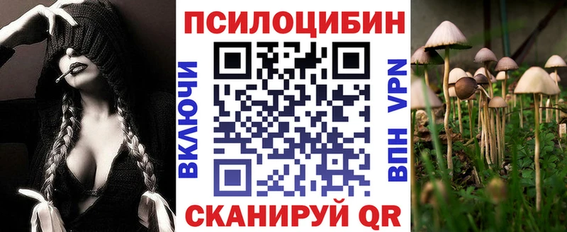 Купить  Отрадный  Псилоцибиновые грибы Psilocybe 